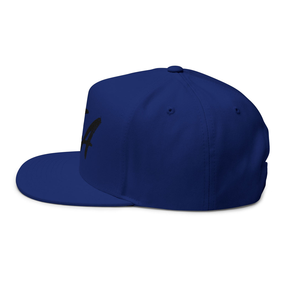 Embroidered 'OEA' Flat Bill Cap